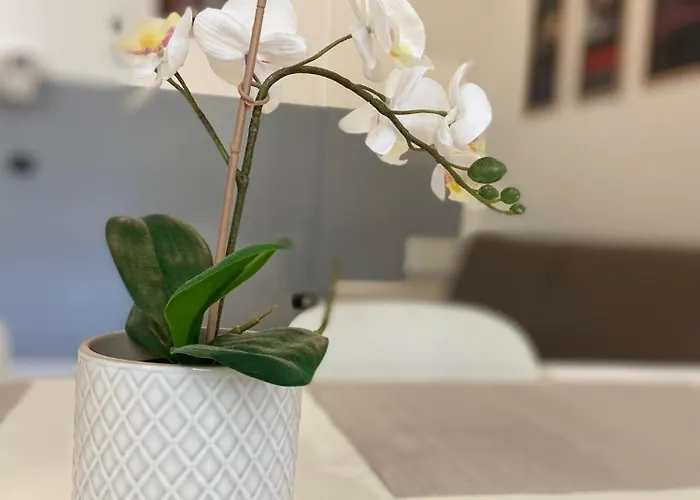 Apartmán s 1 ložnicí